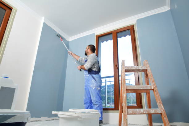  Paonia, CO Drywall & Painting Services Pros